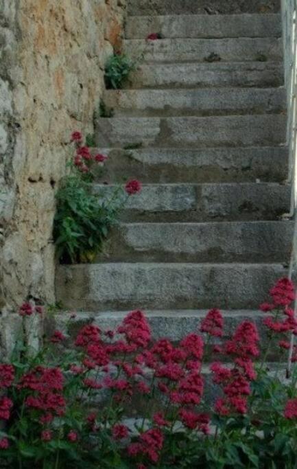 Bedroom For 1, In 100 Y Old Dalmatian House, Under Mountain, 14 Km To Np Krka, 35 Mins Drive To Beach Razvode Exterior foto